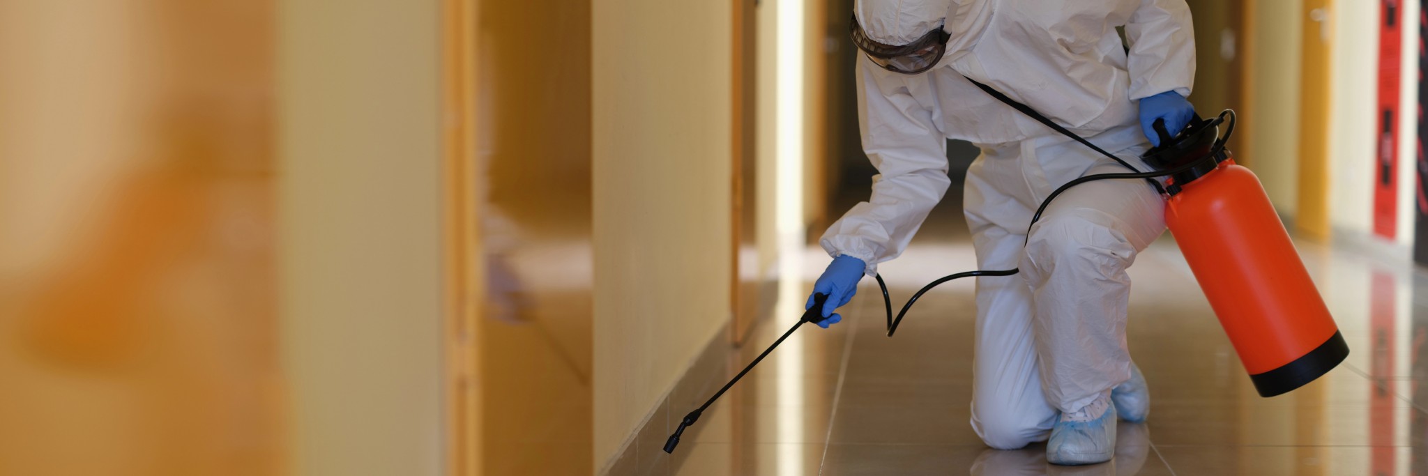 Qualities to Look for in an Asbestos Removal Company