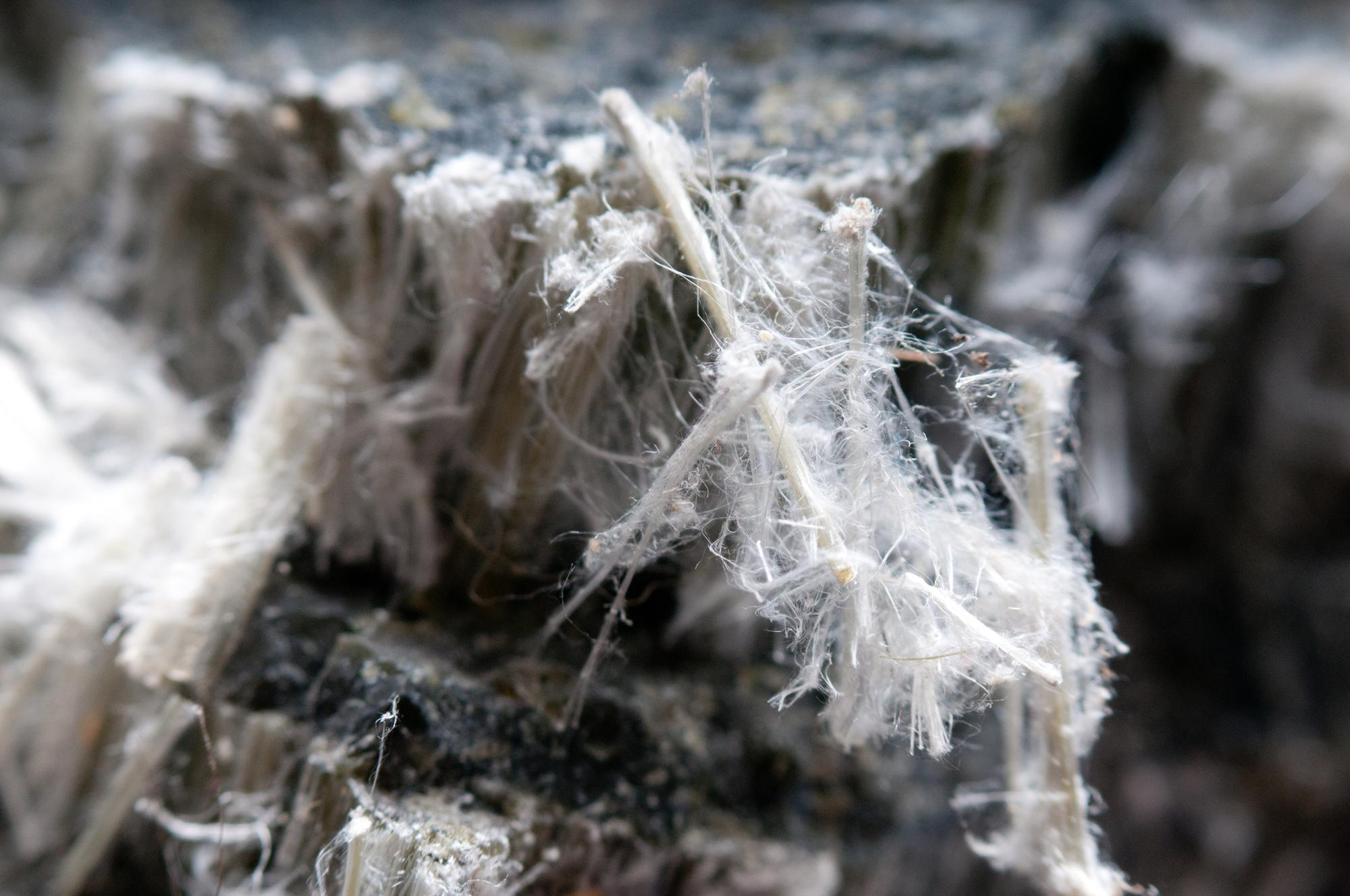 Asbestos chrysotile fibers