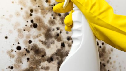 Detergent in hand against the background of a wall with mould mould on the wall