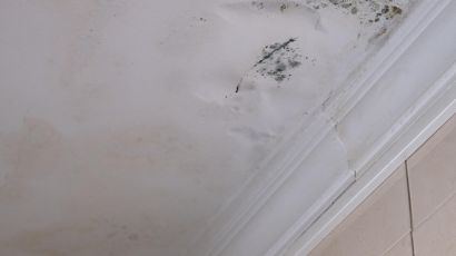 Serious mildew and mold problem on ceiling mold removal service affected roof from rain