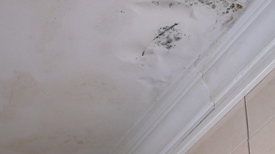 Serious mildew and mold problem on ceiling mold removal service affected roof from rain