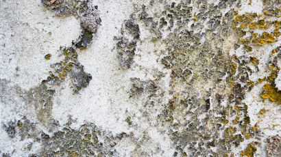Weathered concrete surface with peeling paint and lichen