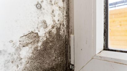 10 Common Drywall Mold Causes And Removal Solutions
