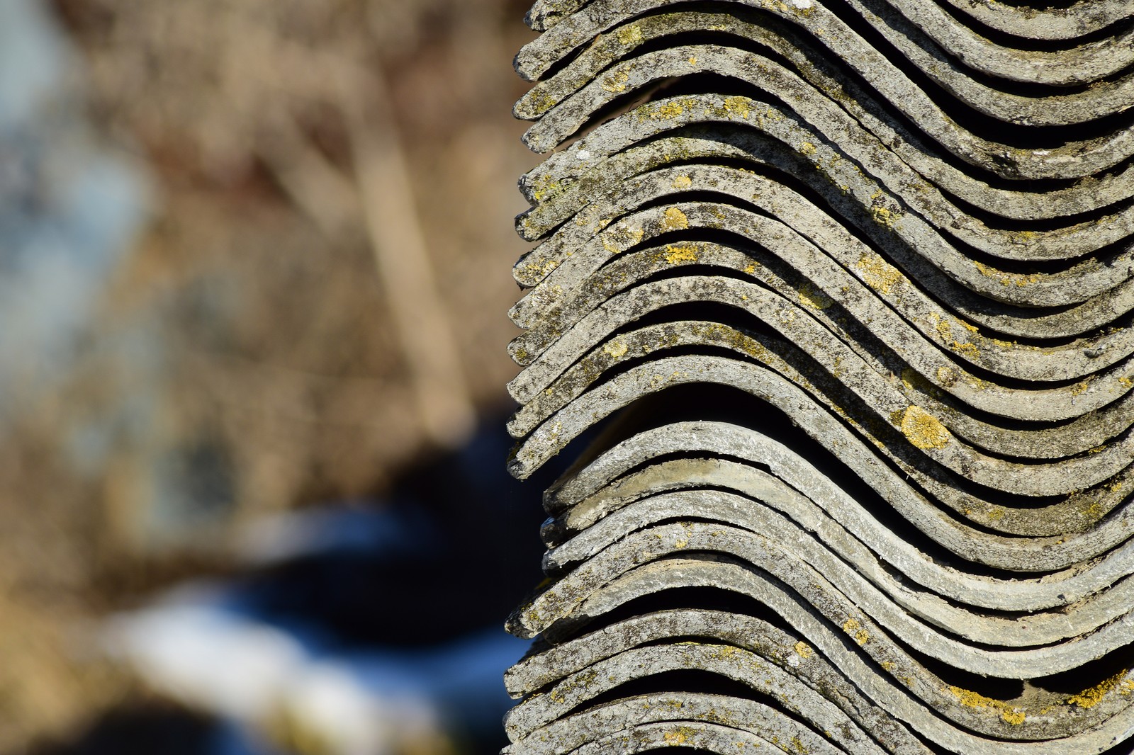 Massachusetts Asbestos Rules Explained: What 310 CMR 7.15 Means for Homeowners